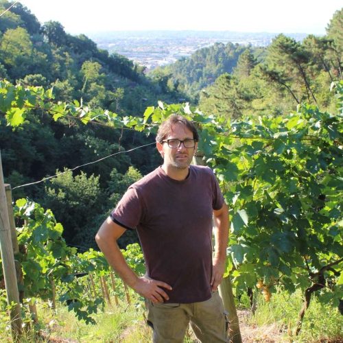 Vini Calevro - Candia - Viticoltura estrema - 46